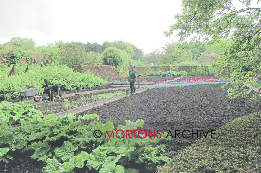 WD555174@20 norton 37 
 Norton Prioy 
 Keywords: cheshire, date 6/2/10, feature norton priory, issue apr, Kitchen Garden, month apr, Mortons Archive, Mortons Media Group, other walled garden, person(s) name john budworth, place norton priory museum and gardens, publication kg, quince, runcorn, year 2010